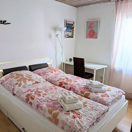 Gemuetliche 90 Qm Wohnung In Saarburg, Zentral Gelegen, Garten Mit Aussicht, Separater Eingang Exterior photo